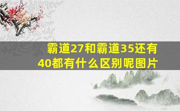 霸道27和霸道35还有40都有什么区别呢图片