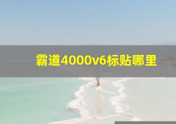 霸道4000v6标贴哪里