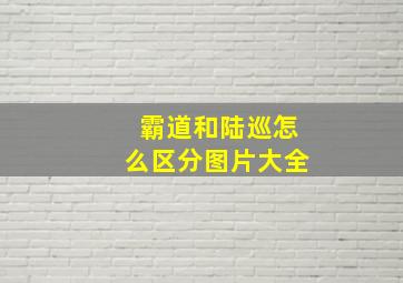 霸道和陆巡怎么区分图片大全