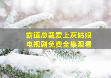 霸道总裁爱上灰姑娘电视剧免费全集观看