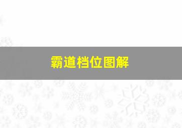 霸道档位图解