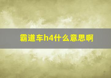 霸道车h4什么意思啊