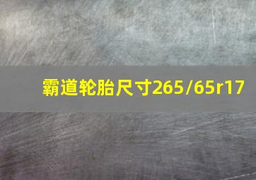 霸道轮胎尺寸265/65r17