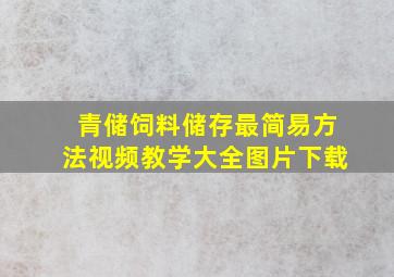 青储饲料储存最简易方法视频教学大全图片下载