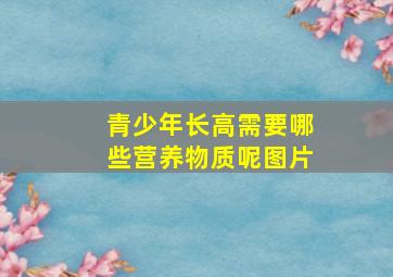 青少年长高需要哪些营养物质呢图片