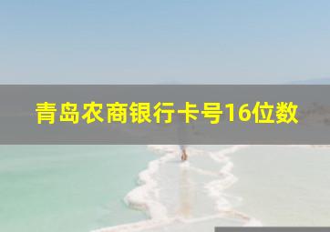 青岛农商银行卡号16位数