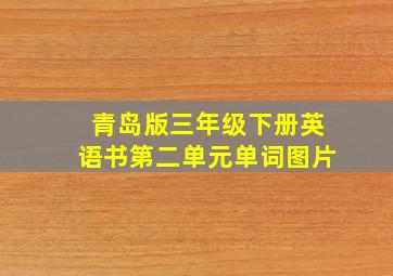 青岛版三年级下册英语书第二单元单词图片