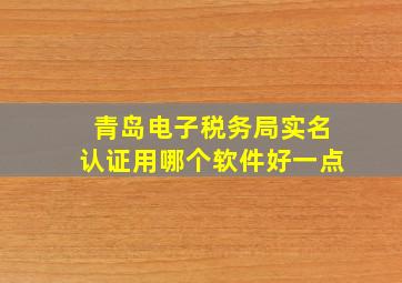 青岛电子税务局实名认证用哪个软件好一点