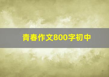 青春作文800字初中