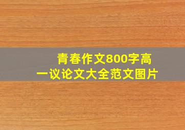 青春作文800字高一议论文大全范文图片