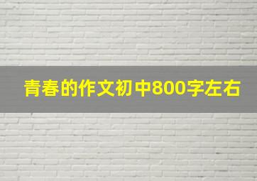 青春的作文初中800字左右