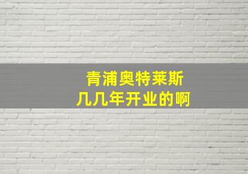 青浦奥特莱斯几几年开业的啊