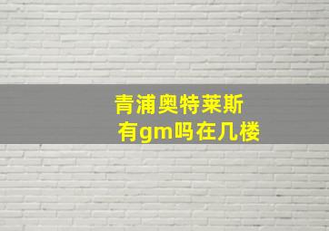 青浦奥特莱斯有gm吗在几楼