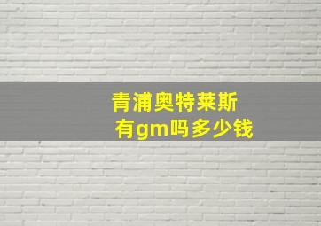 青浦奥特莱斯有gm吗多少钱