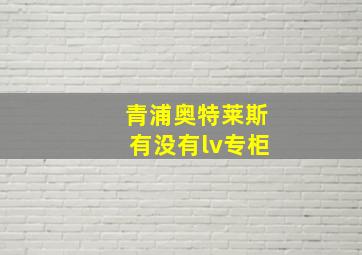 青浦奥特莱斯有没有lv专柜