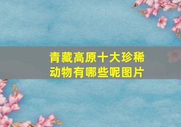 青藏高原十大珍稀动物有哪些呢图片