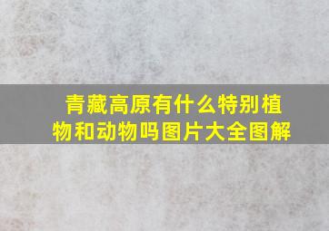 青藏高原有什么特别植物和动物吗图片大全图解