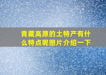 青藏高原的土特产有什么特点呢图片介绍一下