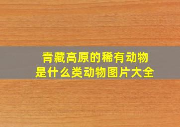 青藏高原的稀有动物是什么类动物图片大全