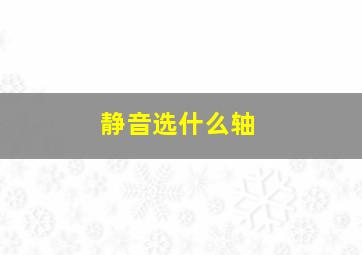 静音选什么轴