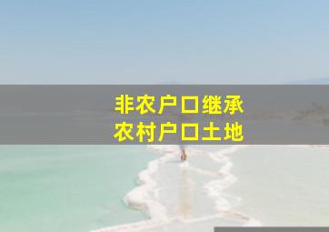 非农户口继承农村户口土地