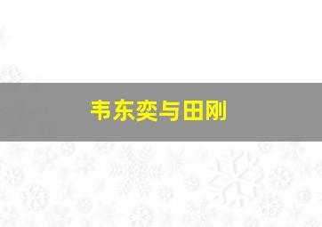 韦东奕与田刚