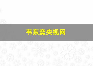 韦东奕央视网