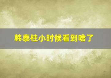 韩泰柱小时候看到啥了