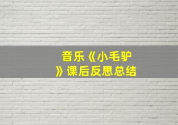 音乐《小毛驴》课后反思总结