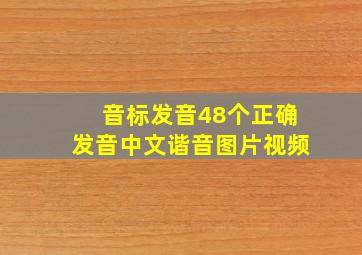 音标发音48个正确发音中文谐音图片视频