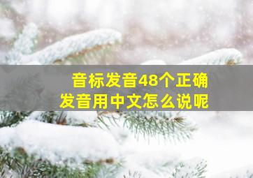 音标发音48个正确发音用中文怎么说呢