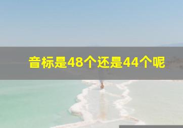 音标是48个还是44个呢