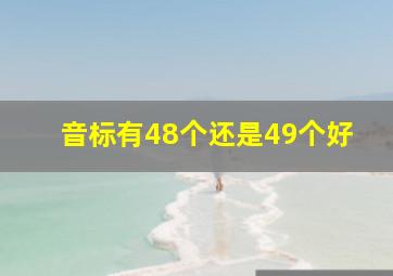 音标有48个还是49个好