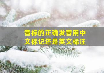 音标的正确发音用中文标记还是英文标注