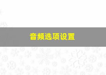 音频选项设置