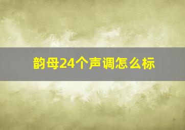 韵母24个声调怎么标