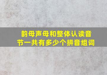 韵母声母和整体认读音节一共有多少个拼音组词