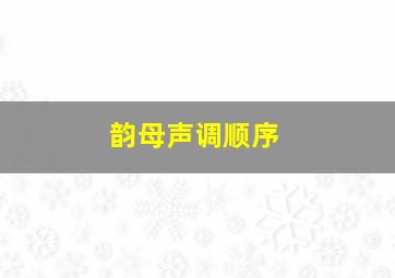 韵母声调顺序