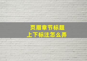 页眉章节标题上下标注怎么弄