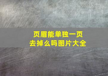 页眉能单独一页去掉么吗图片大全