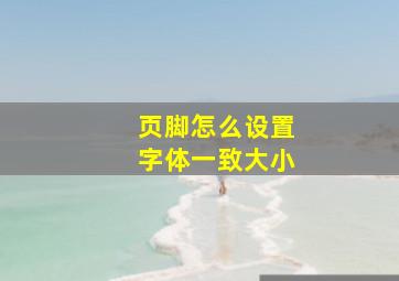 页脚怎么设置字体一致大小