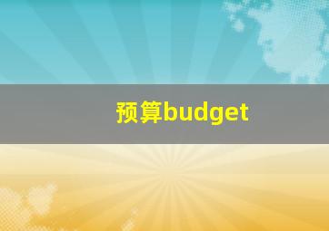 预算budget