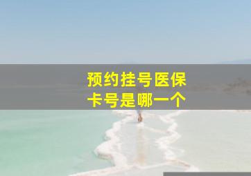 预约挂号医保卡号是哪一个