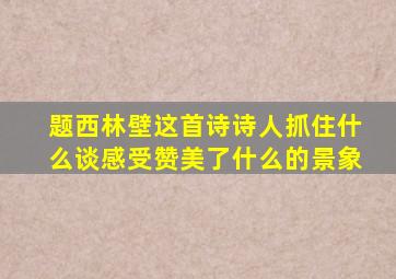 题西林壁这首诗诗人抓住什么谈感受赞美了什么的景象