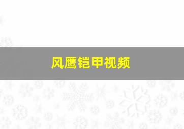 风鹰铠甲视频