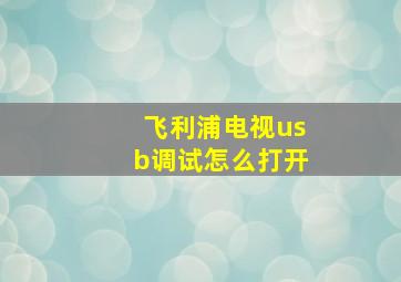 飞利浦电视usb调试怎么打开