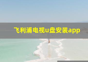 飞利浦电视u盘安装app