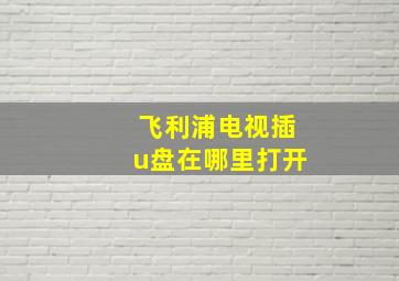 飞利浦电视插u盘在哪里打开