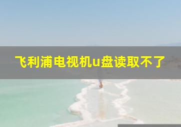 飞利浦电视机u盘读取不了