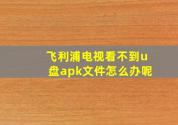 飞利浦电视看不到u盘apk文件怎么办呢